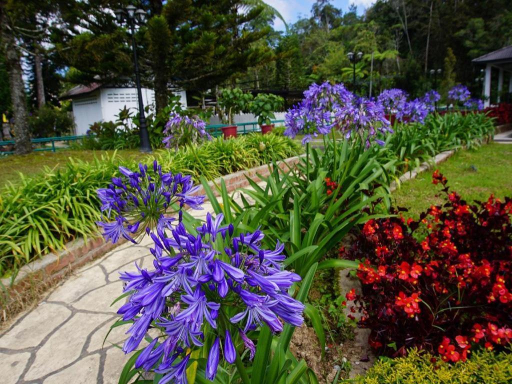 Camlodge Budget Hotel Cameron Highlands Bagian luar foto