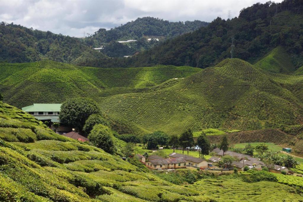 Camlodge Budget Hotel Cameron Highlands Bagian luar foto