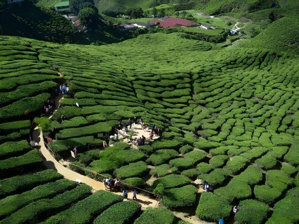 Camlodge Budget Hotel Cameron Highlands Bagian luar foto